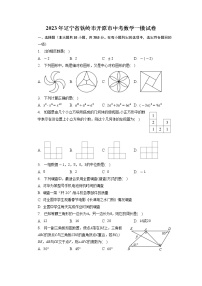 2023年辽宁省铁岭市开原市中考数学一模试卷+