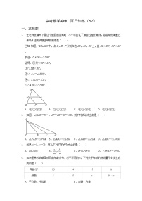 2023年中考模拟数学冲刺百日训练（52）答案