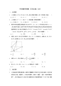 2023年中考模拟数学冲刺百日训练（60）答案