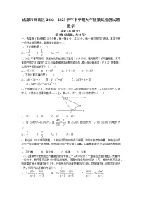 2023年四川省成都市高新区中考一模数学试题