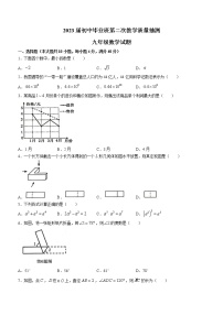 2023年安徽省合肥市庐江县中考二模数学试题（含答案）