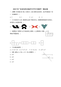 2023年广东省东莞市振华中学中考数学一模试卷（含答案）