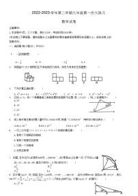 河南省洛阳市伊川县2022-2023学年下学期九年级第一次大练习数学试卷（含答案）