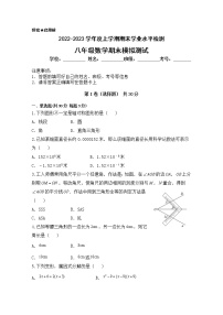 山东省济南市2022-2023学年八年级上学期期末数学模拟检测