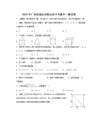 2023年广东省清远市阳山县中考数学一模试卷(含解析）