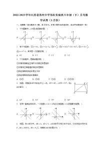 2022-2023学年江苏省苏州中学伟长实验班八年级（下）月考数学试卷（3月份）(含解析）