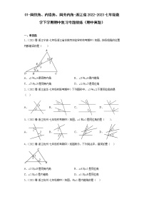 01-同位角、内错角、同旁内角-浙江省2022-2023七年级数学下学期期中复习专题精炼（期中真题）