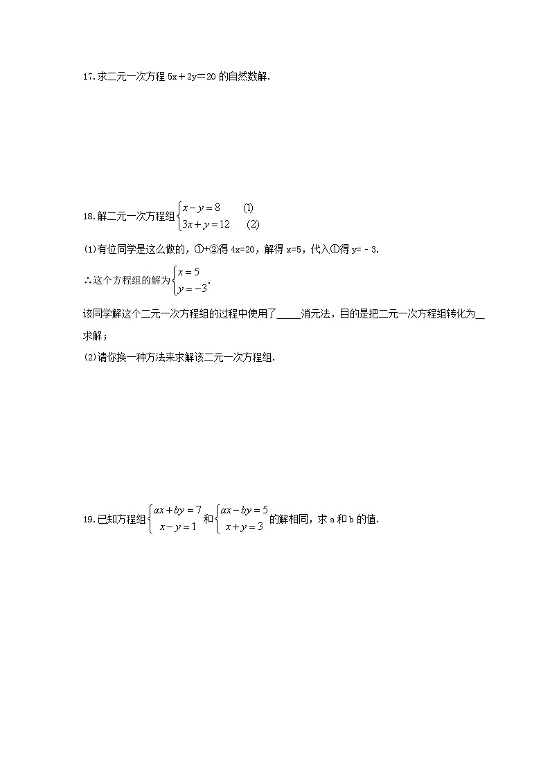 2023年人教版数学七年级下册期末复习《二元一次方程组》计算题专项复习(含答案)第3页