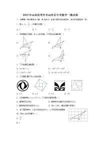 2023年山东省枣庄市山亭区中考数学一模试卷（含解析）