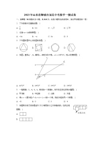 2023年山东省聊城市冠县中考数学一模试卷（含解析）