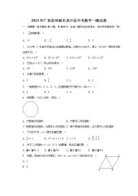 2023年广东省河源市龙川县中考数学一模试卷（含解析）