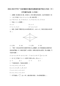 2022-2023学年广东省揭阳市揭西县棉湖实验学校九年级（下）月考数学试卷（3月份）（含解析）