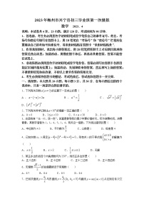 2023年广东省梅州市兴宁县中考一模数学试题