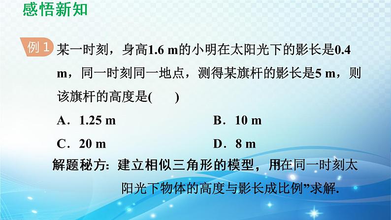 鲁教版（五四制）数学八下9.7 利用相似三角形测高 导学课件第6页