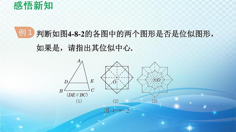 鲁教版（五四制）数学八下9.9 利用位似放缩图形 导学课件06