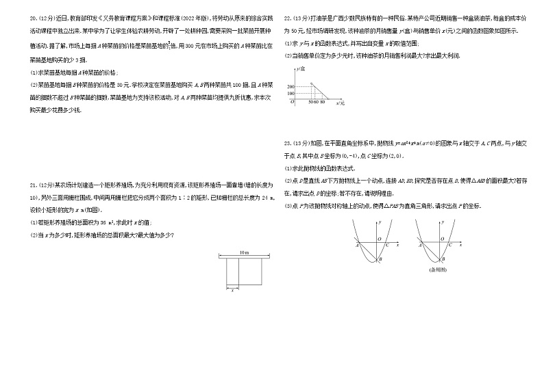 2023年山东省济南市数学中考阶段综合检测(三)(函数)（含答案）第3页