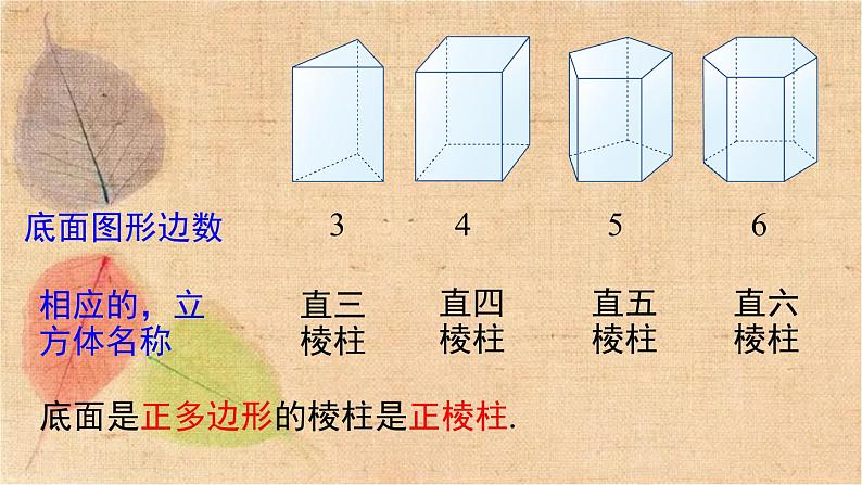 湘教版数学九年级下册 3.2 直棱柱、圆锥的侧面展开图 课件第5页