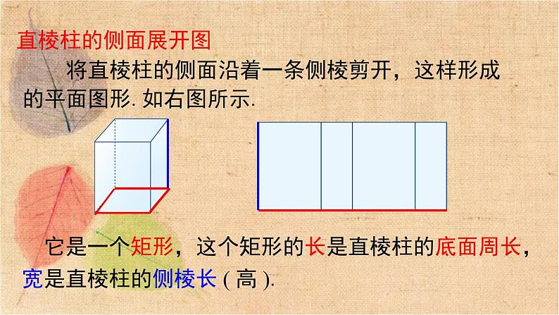 湘教版数学九年级下册 3.2 直棱柱、圆锥的侧面展开图 课件第6页