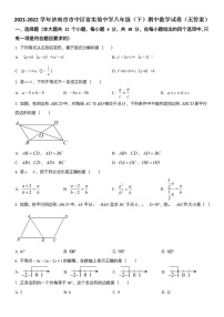 2021-2022学年济南市市中区省实验中学八年级（下）期中数学试卷（无答案）