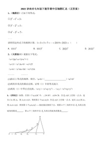 2022济南市七年级下数学期中压轴题汇总（无答案）