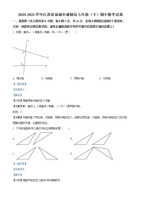 精品解析：江苏省盐城市建湖县2020-2021学年七年级下学期期中数学试题（解析版）