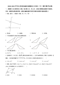 精品解析：江苏省盐城市建湖县2020-2021学年七年级下学期期中数学试题（原卷版）