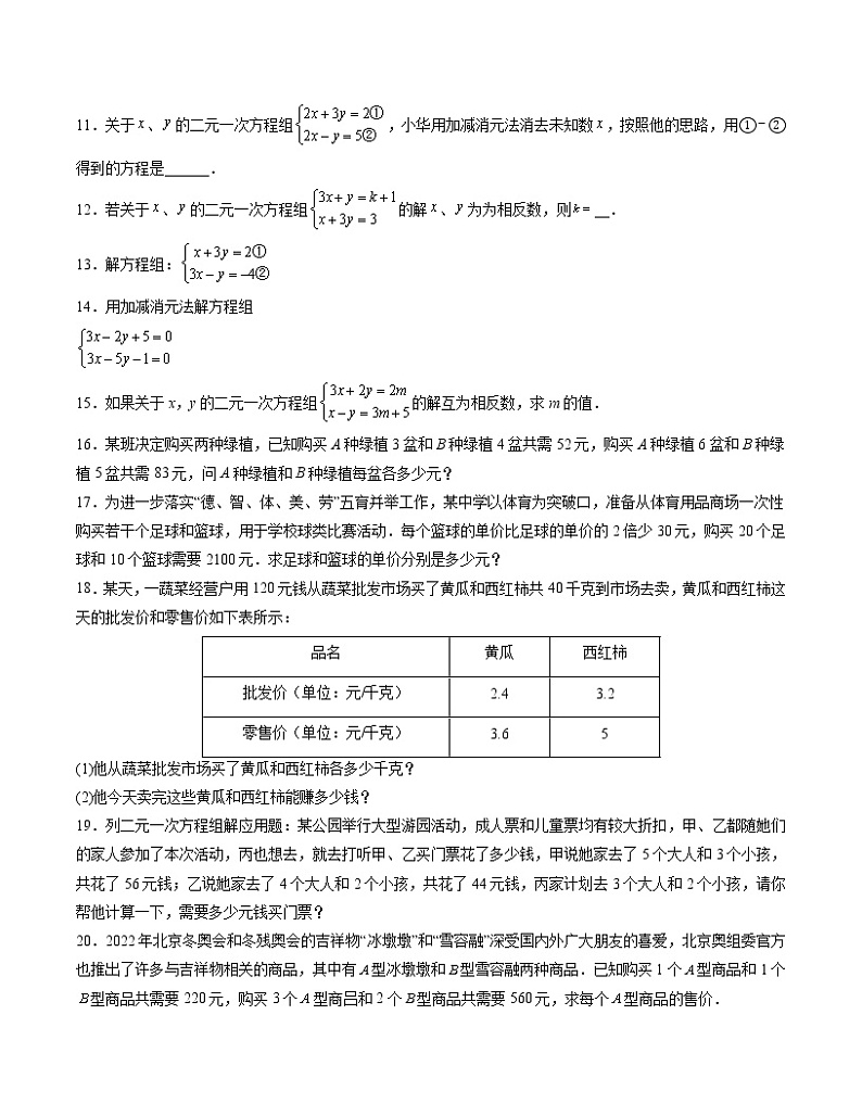 第10章 二元一次方程组【专项练习】——2022-2023学年苏科版数学七年级下册单元综合复习（原卷版+解析版）02