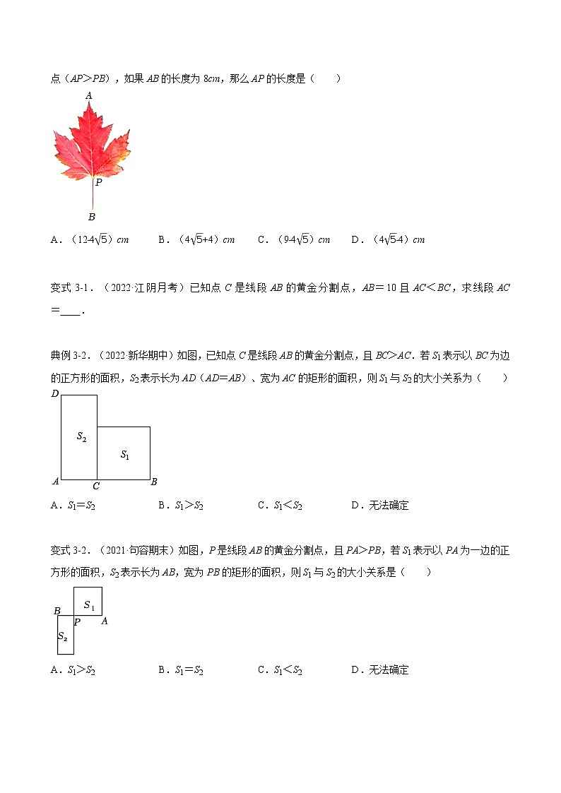 第6章 图形的相似【题型专练】——2022-2023学年苏科版数学九年级下册单元综合复习（原卷版+解析版）03