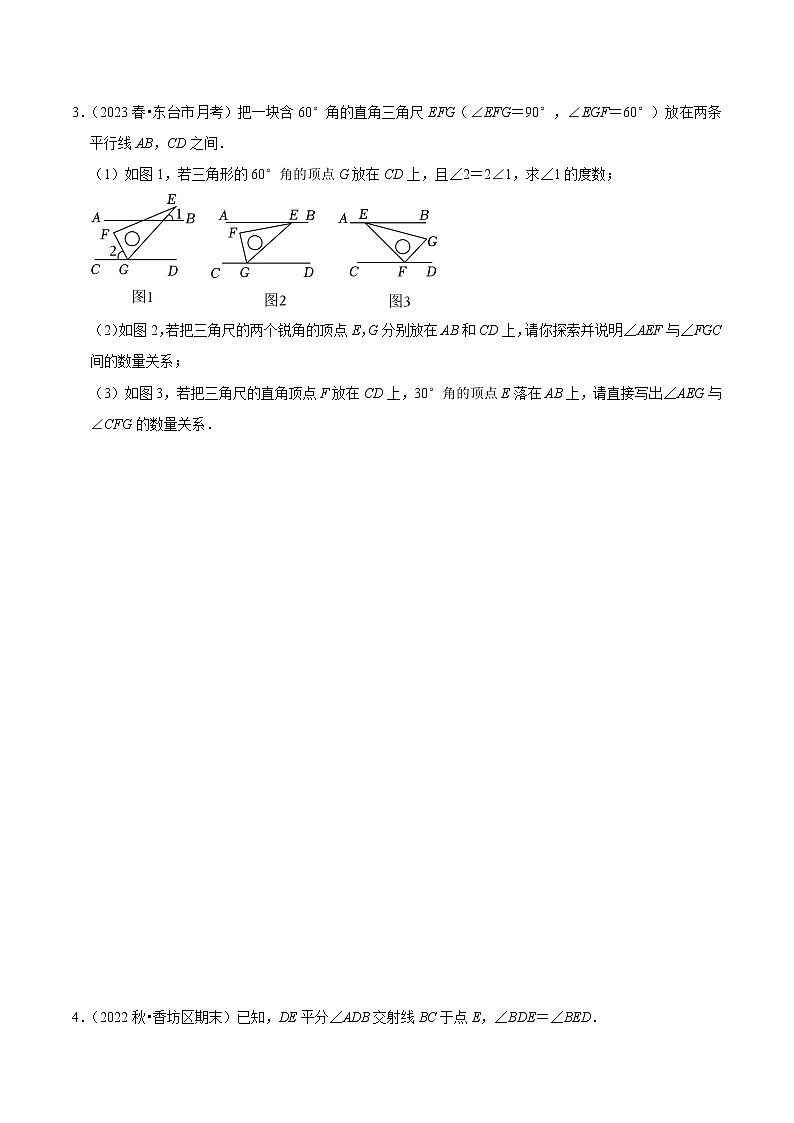 压轴题专训30题（第五、六、七章）（原卷版）第3页