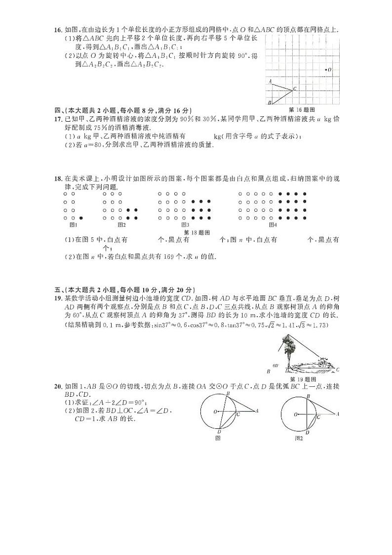 2023年安徽省全椒县第一次中考模拟考试数学试卷+第3页