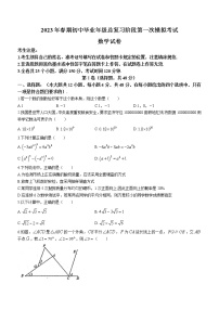 2023年四川省德阳市旌阳区中考一模数学试题（含答案）