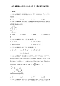 山东省聊城市东阿县2023届中考（一模）数学考试试题(含解析）