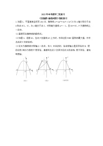 2023年中考数学二轮复习《压轴题-面积问题》强化练习(含答案)