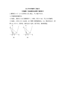 2023年中考数学二轮复习《压轴题-三角函数综合问题》强化练习(含答案)