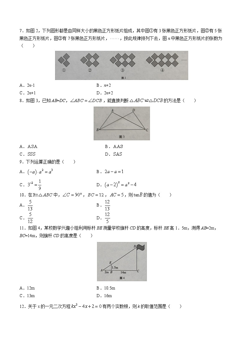 2023年云南省文山州文山市中考一模数学试题（含答案）02