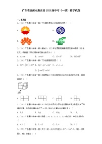 广东省惠州市惠东县2023届中考（一模）数学试题