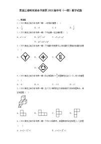 黑龙江省哈尔滨市平房区2023届中考（一模）数学试题