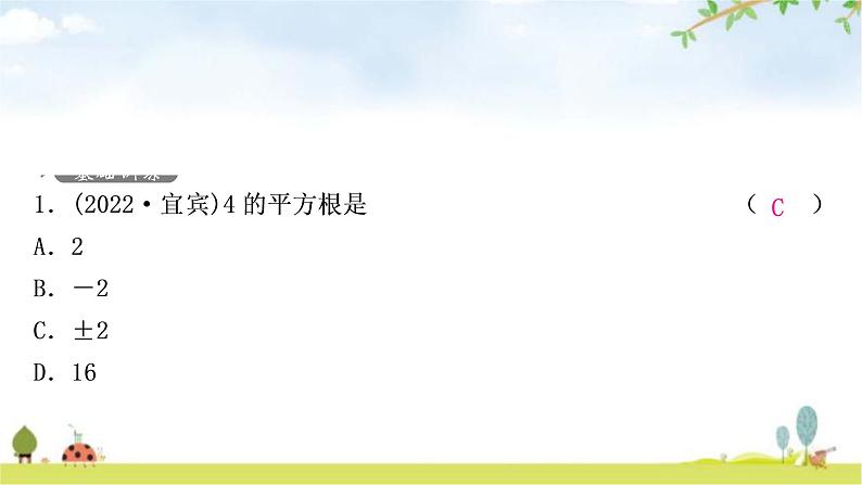 中考数学复习第一章数与式第二节数的开方与二次根式作业课件第2页