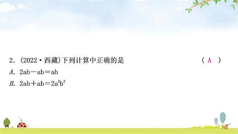 中考数学复习第一章数与式第三节代数式、整式与因式分解作业课件03