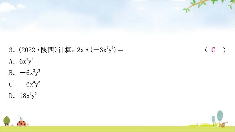 中考数学复习第一章数与式第三节代数式、整式与因式分解作业课件04