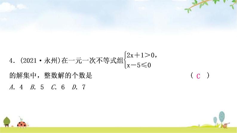 中考数学复习第二章方程(组)与不等式(组)第四节一元一次不等式(组)及其应用作业课件05