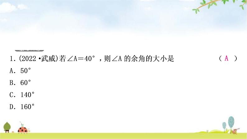 中考数学复习第四章三角形第一节几何初步及相交线与平行线作业课件第2页