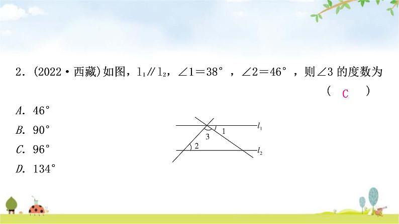 中考数学复习第四章三角形第一节几何初步及相交线与平行线作业课件第3页