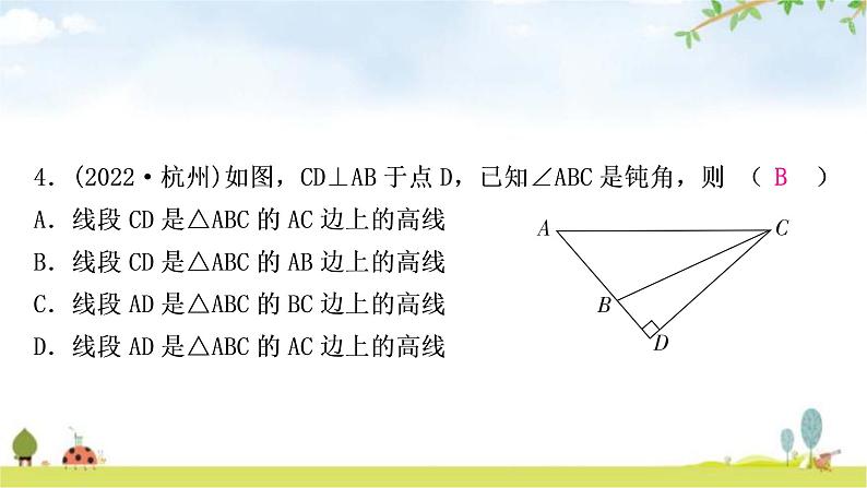 中考数学复习第四章三角形第二节一般三角形及其性质作业课件第5页