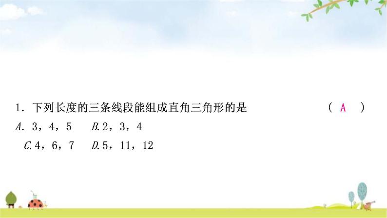 中考数学复习第四章三角形第三节等腰三角形与直角三角形作业课件第2页