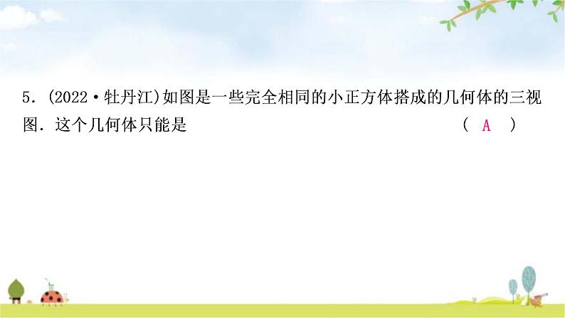 中考数学复习第七章作图与图形变换第二节投影与视图作业课件05