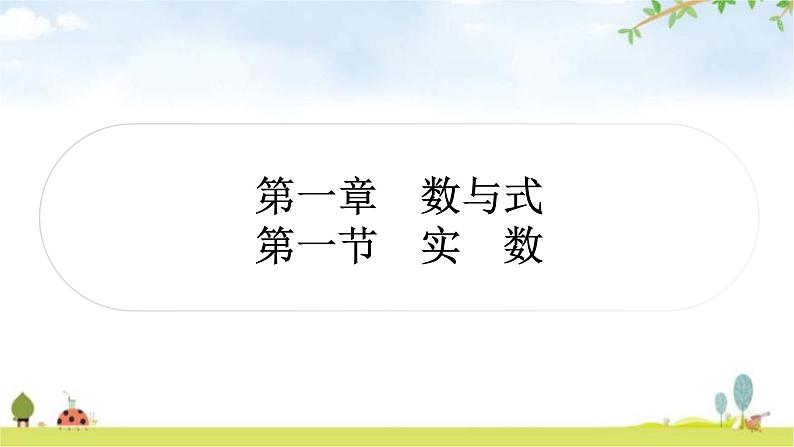 中考数学复习第一章数与式第一节实数教学课件01