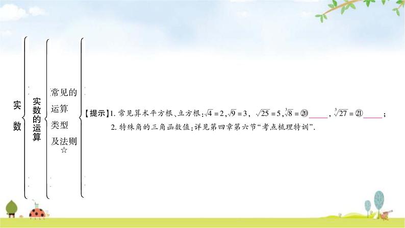 中考数学复习第一章数与式第一节实数教学课件08