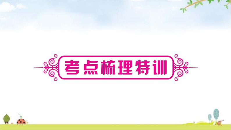 中考数学复习第一章数与式第四节分式教学课件第2页