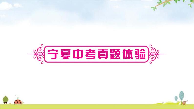 中考数学复习第四章三角形第三节等腰三角形与直角三角形教学课件07